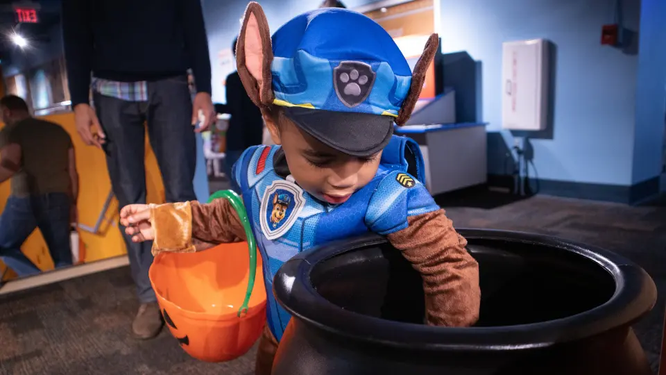 trickortreat trickortreat